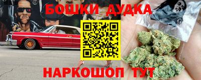 МДПВ Обь