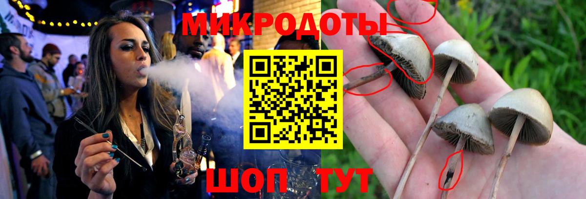 Сорочинск  Галлюциногенные грибы MAGIC MUSHROOMS  Вход с VPN 