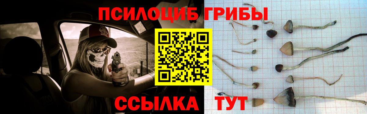 Псилоцибиновые грибы прущие грибы Сорочинск